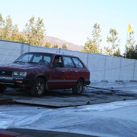 crop-19.06.2009_281__large_