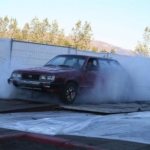 crop-19.06.2009_286__large_