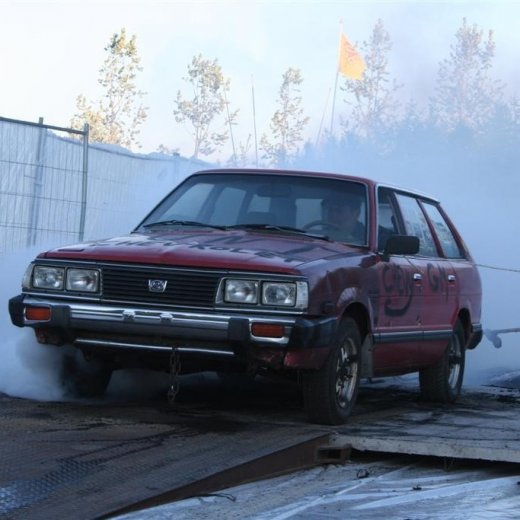 crop-19.06.2009_288__large_