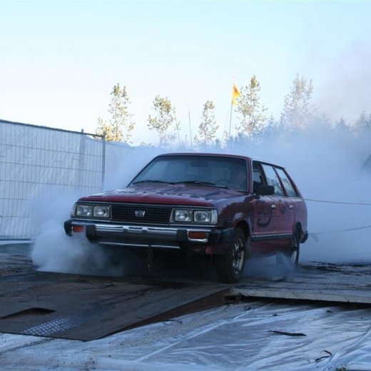 crop-19.06.2009_289__large_