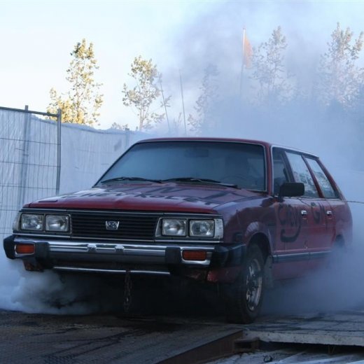 crop-19.06.2009_291__large_