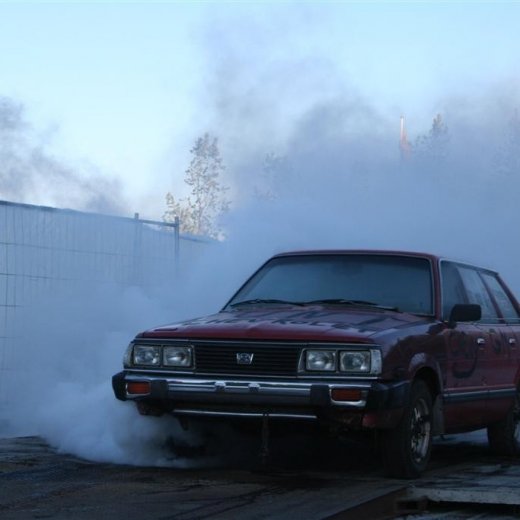 crop-19.06.2009_297__large_