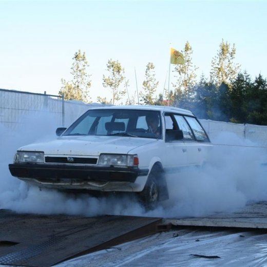 crop-19.06.2009_323__large_