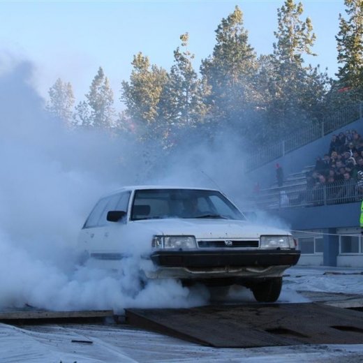 crop-19.06.2009_326__large_