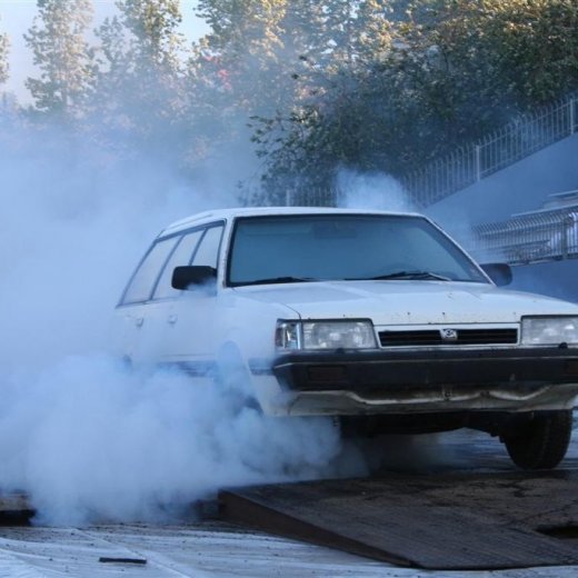 crop-19.06.2009_328__large_