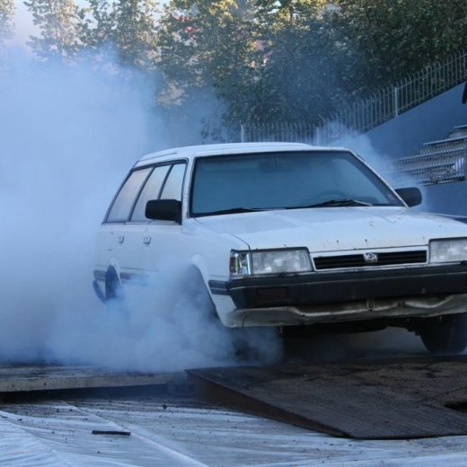 crop-19.06.2009_331__large_