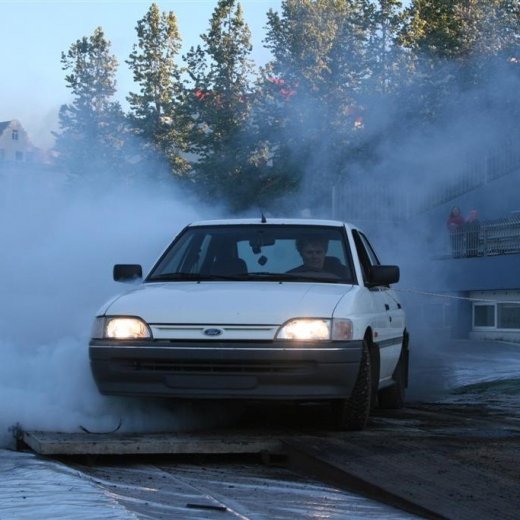 crop-19.06.2009_352__large_