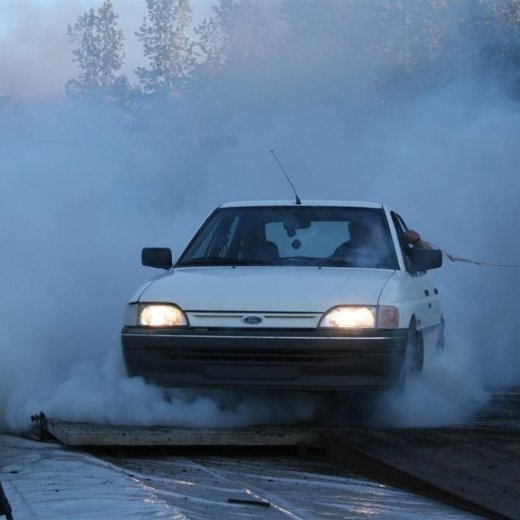 crop-19.06.2009_366__large_