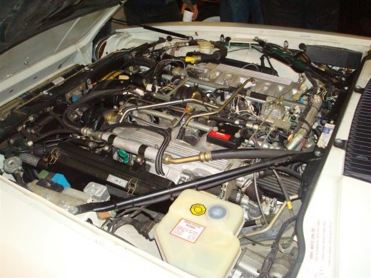 02.09.2009_016__large_