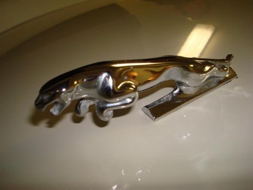 02.09.2009_024__large_