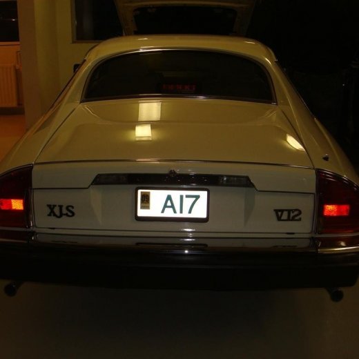 crop-02.09.2009_011__large_