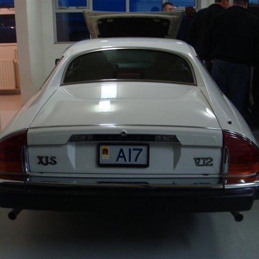 crop-02.09.2009_012__large_