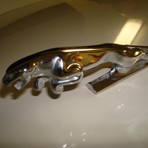 crop-02.09.2009_024__large_