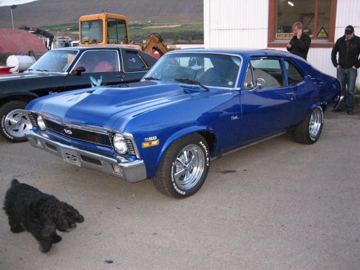 09.09.09_017__large_