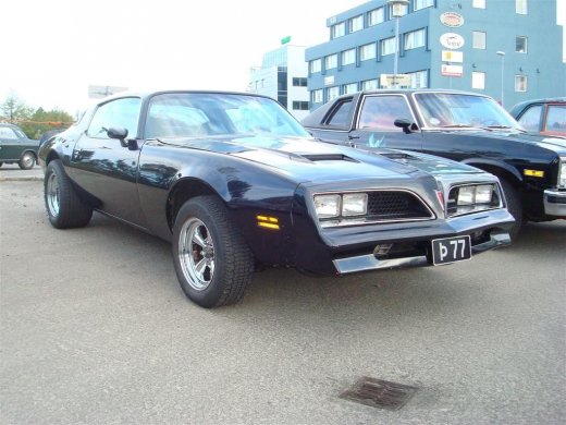 13.05.2009_012__large_