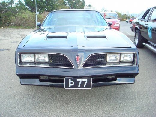 13.05.2009_013__large_