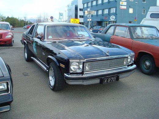 13.05.2009_014__large_