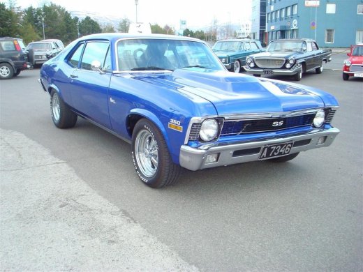 13.05.2009_023__large_