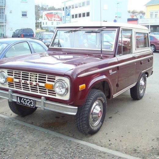 crop-13.05.2009_010__large_