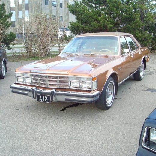 crop-13.05.2009_011__large_