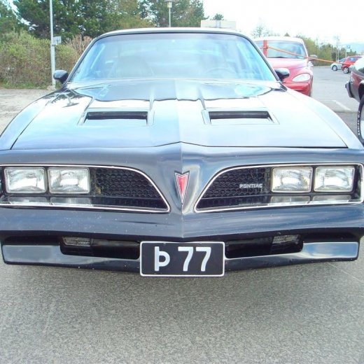 crop-13.05.2009_013__large_