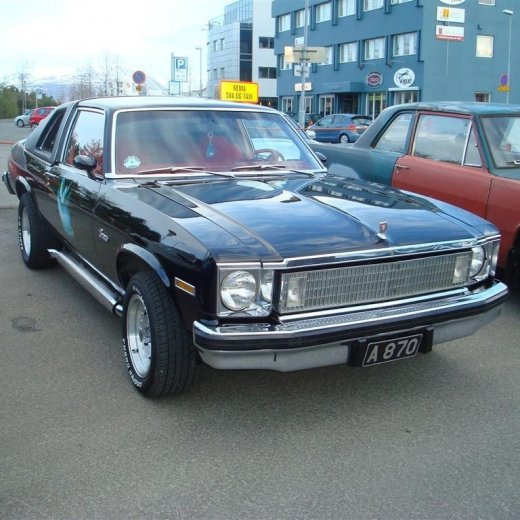 crop-13.05.2009_014__large_