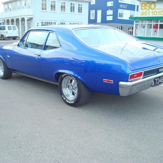 crop-13.05.2009_021__large_