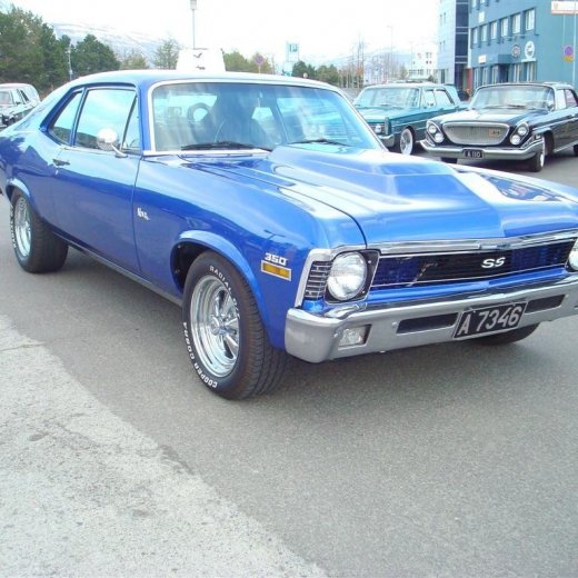 crop-13.05.2009_023__large_