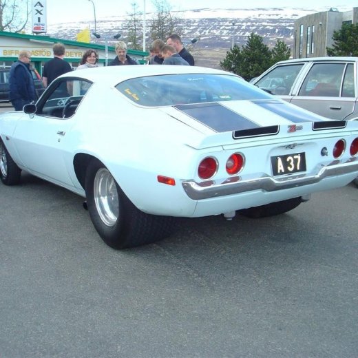 crop-13.05.2009_024__large_