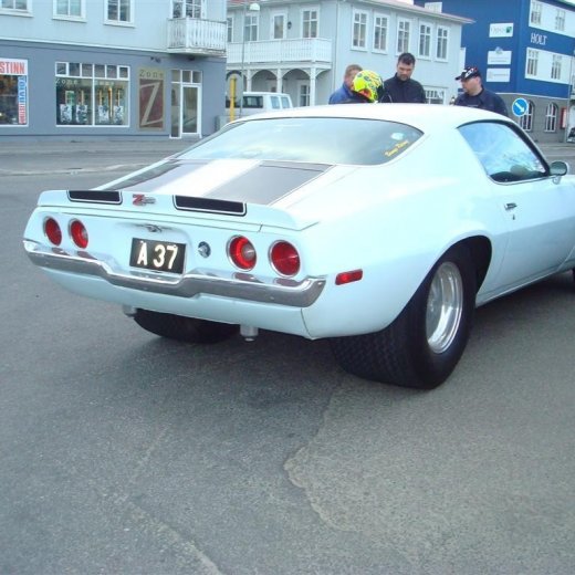 crop-13.05.2009_026__large_