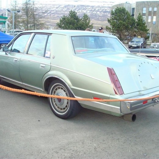 crop-13.05.2009_027__large_