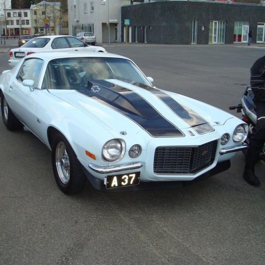 crop-13.05.2009_035__large_