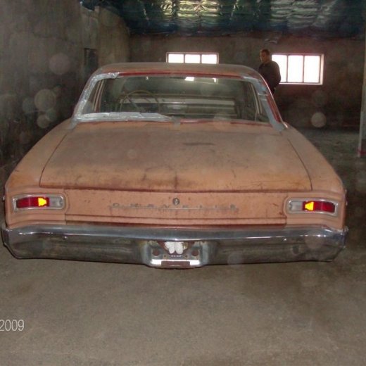 crop-hpim0841__large_