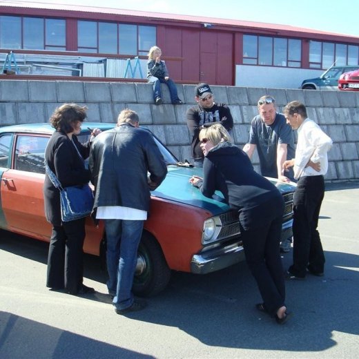 crop-fornbilask_2009__11_