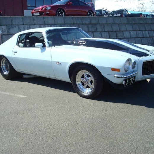 crop-fornbilask_2009__12_