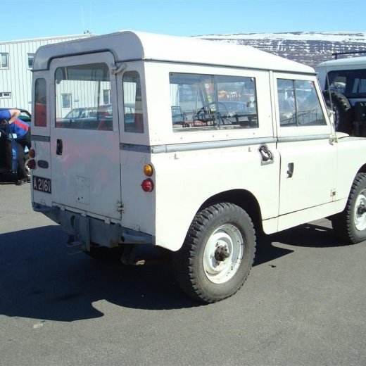 crop-fornbilask_2009__14_