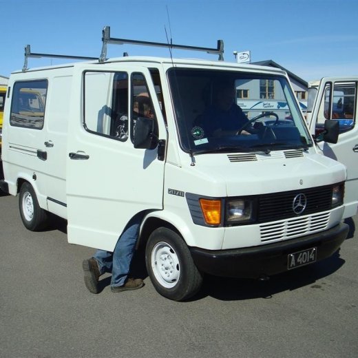 crop-fornbilask_2009__16_