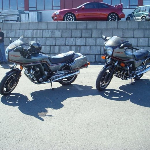 crop-fornbilask_2009__17_