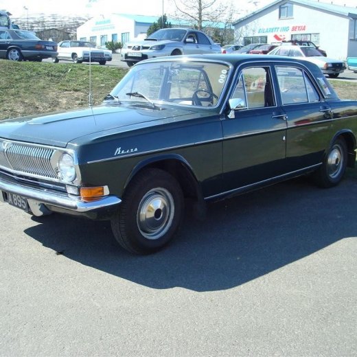 crop-fornbilask_2009__19_