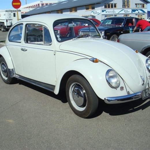 crop-fornbilask_2009__21_