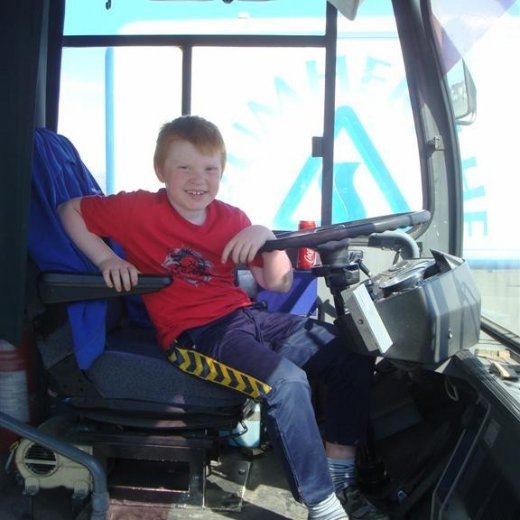 crop-fornbilask_2009__24_