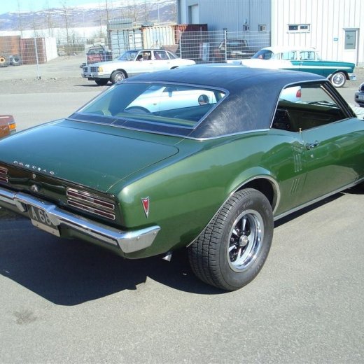 crop-fornbilask_2009__25_