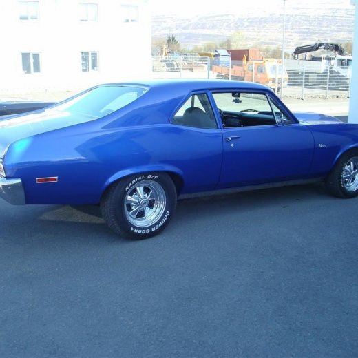 crop-fornbilask_2009__28_