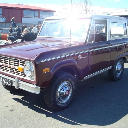 crop-fornbilask_2009__29_