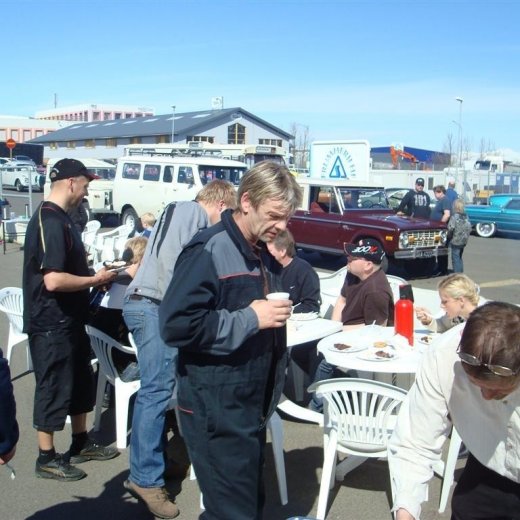 crop-fornbilask_2009__2_