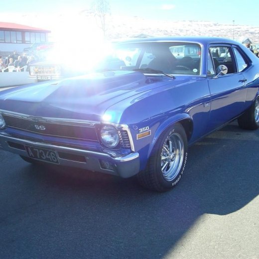 crop-fornbilask_2009__31_