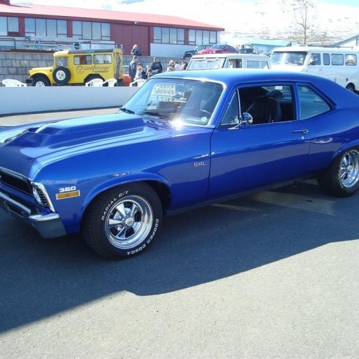 crop-fornbilask_2009__32_