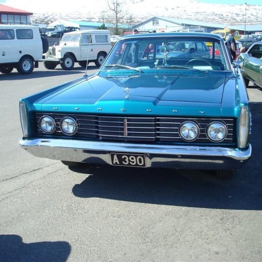 crop-fornbilask_2009__33_