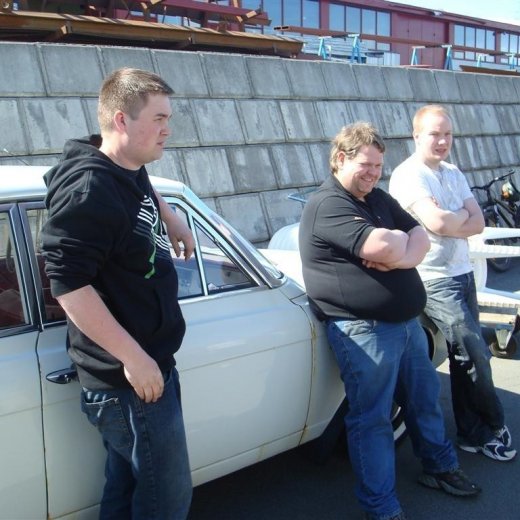 crop-fornbilask_2009__3_