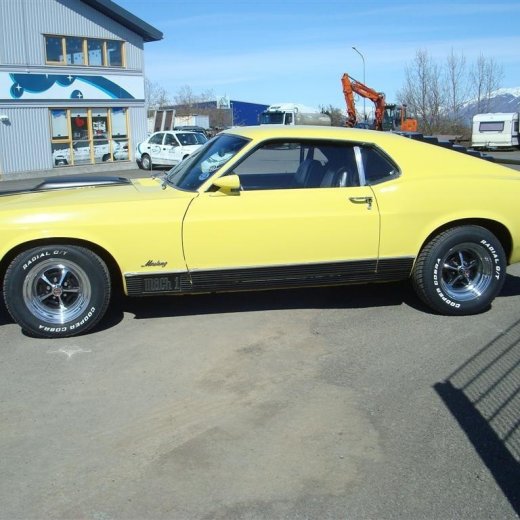 crop-fornbilask_2009__41_